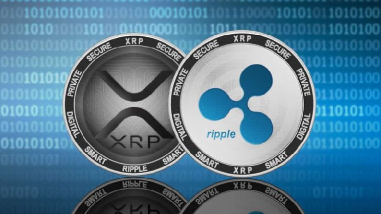 
			Главный юрист Ripple считает, что SEC отказалась от требования $2 млрд штрафа		